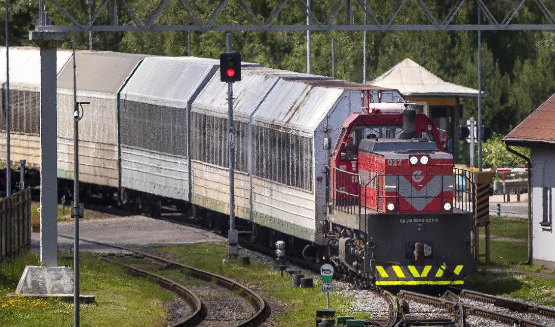 Godståg från Kaliningrad. Arkivbild. Foto: Mindaugas Kulbis/AP/TT