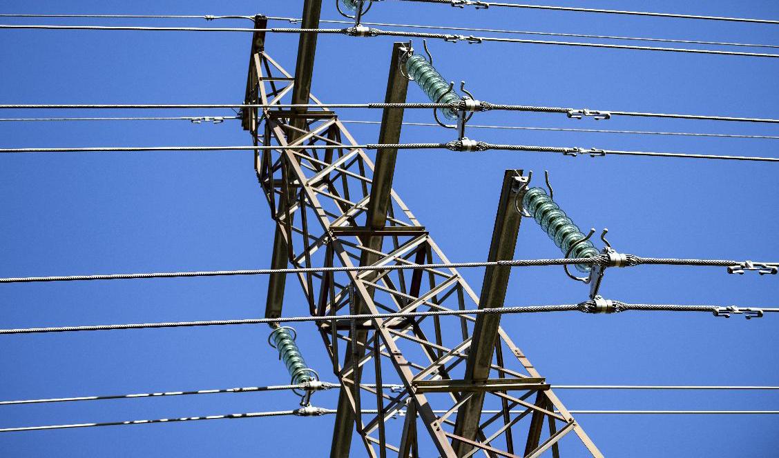 Högst sannolikt var en fågel boven i dramat när elkunder i sydöstra Skåne blev utan ström. Arkivbild. Foto: Johan Nilsson/TT