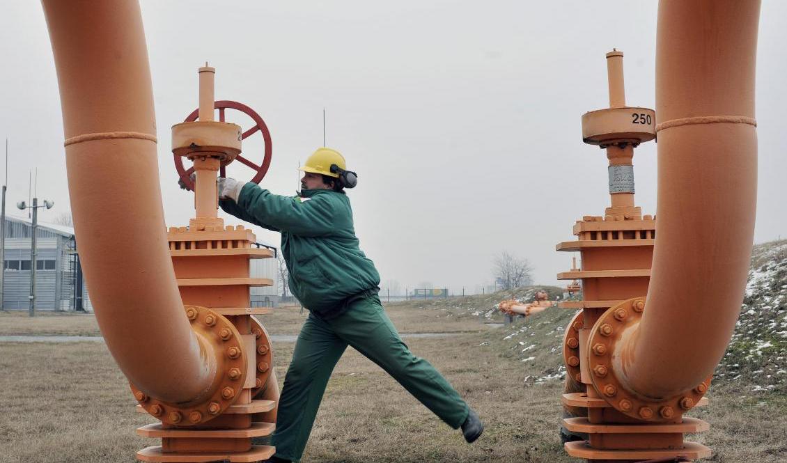 En tekniker vid det ungerska gasbolaget FGSZ öppnar en ventil vid ett gaslager i Vecsec. Foto: Arkivbild Bela Szandelszky/AP/TT