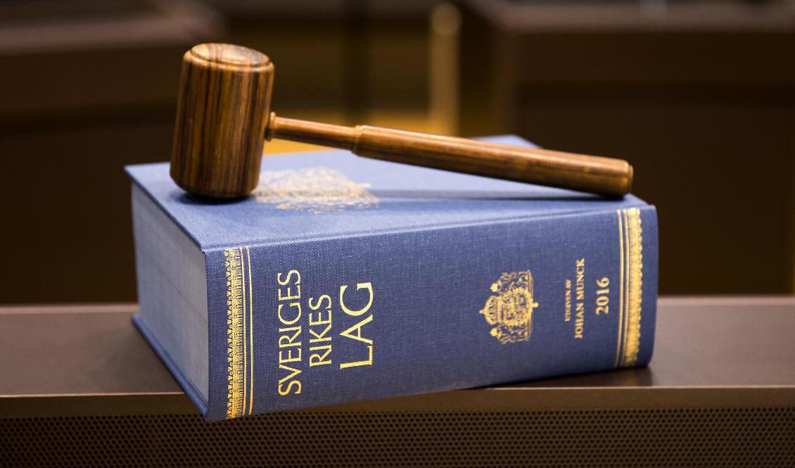 Flera riksdagskandidater har dömts för brott. Arkivbild Foto: Henrik Montgomery/TT