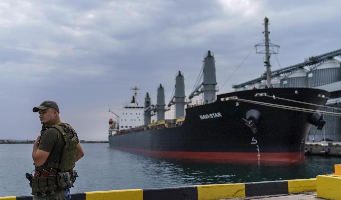 En vakt vid ett fartyg med spannmål i Odessas hamn i fredags. Foto: David Goldman/AP/TT