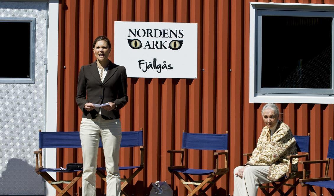 Kronprinsessan Victoria har engagerat sig i fjällgåsprojektet. 2009 invigde hon den nya avelsanläggningen för fjällgås på Nordens ark. Foto: Pontus Lundahl/Scanpix