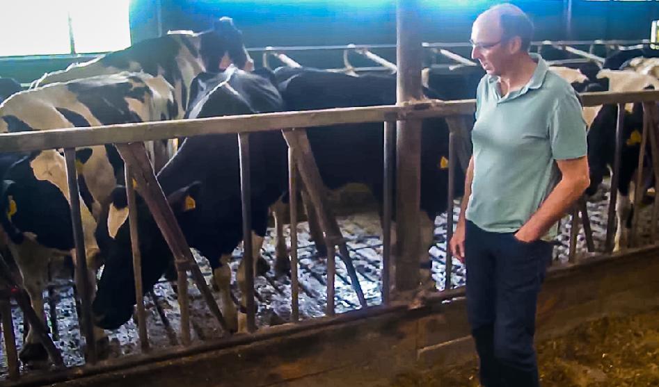 
Den holländske mjölkbonden Martin Neppelenbroek tillsammans med sina kor på gården i Lemelerveld i Nederländerna. Foto: The Epoch Times                                            