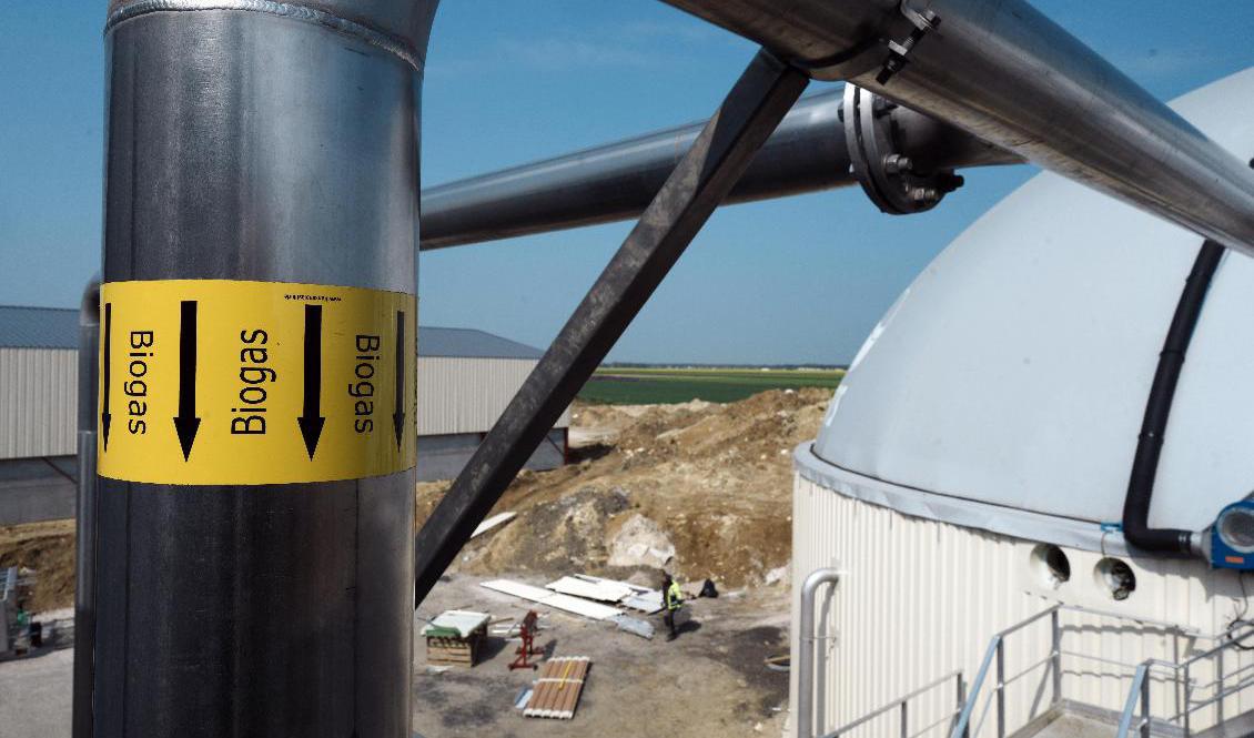 En testanläggning söder om Paris, där bönder förvandlar spannmål och avfall till biogas för att slippa beroendet av Ryssland. Arkivbild. Foto: Thibault Camus/AP/TT