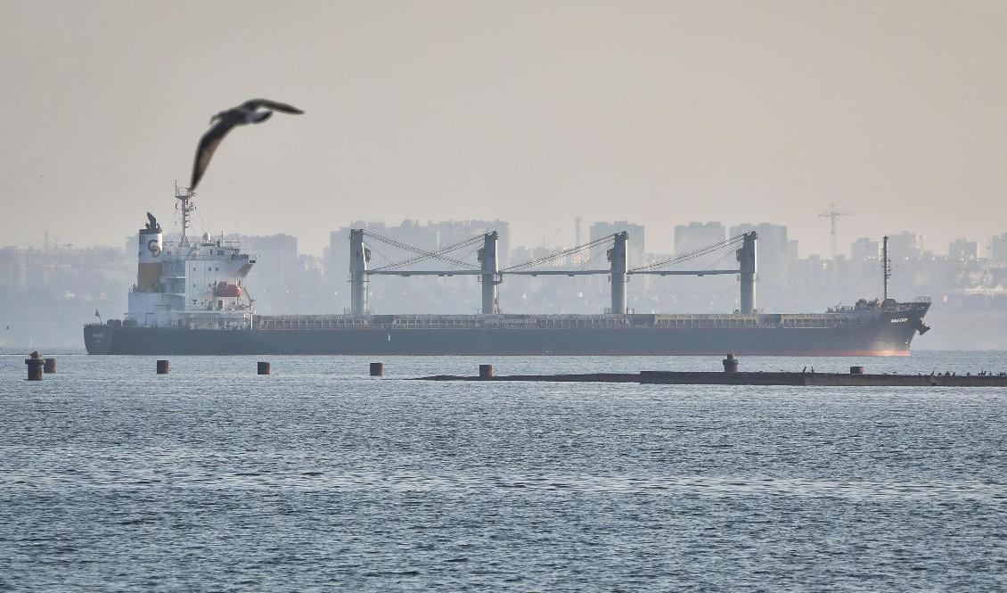 Ett av de fartyg som lämnade den ukrainska hamnen i Odessa under fredagen. Foto: Nina Lyashonok/AP/TT