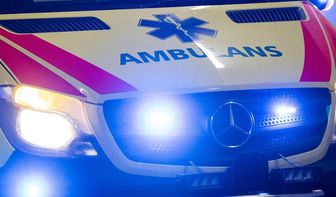 Ett 30-tal barn och ungdomar insjuknade av matförgiftning under en fotbollscup på fredagen. Arkivbild. Foto: Johan Nilsson/TT