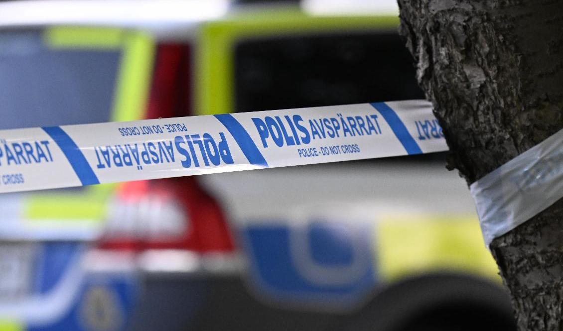 Polisen letar efter en gärningsperson efter skottlossningen i Ockelbo. Arkivbild. Foto: Johan Nilsson/TT