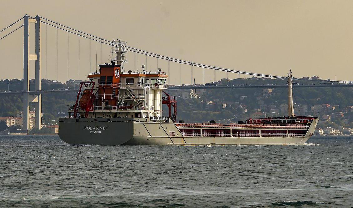 Spannmålsfartyget Polarnet, här på väg genom Bosporen, har anlänt till Derince i Turkiet. Foto: Emrah Gurel/AP/TT