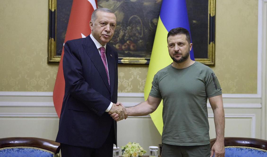 Turkiets president Recep Tayyip Erdogan och Ukrainas president Volodymyr Zelenskyj i Lviv. Foto: Ukrainas presidentkansli via AP/TT