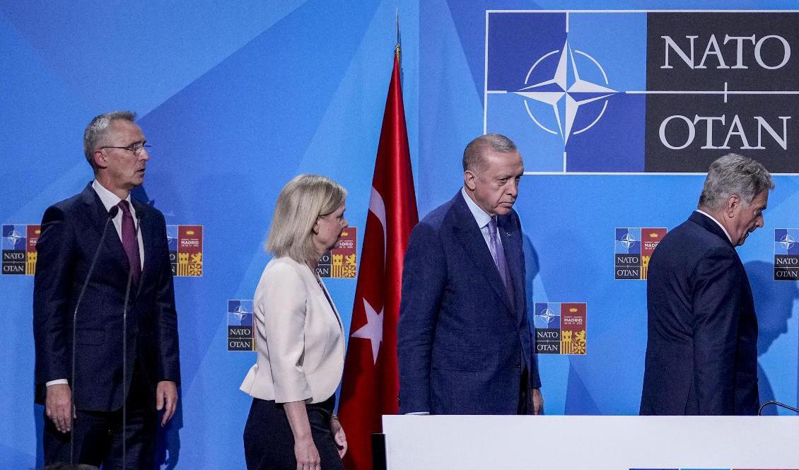 Statsminister Magdalena Andersson (S) och Turkiets president Recep Tayyip Erdogan på Natotoppmötet i Madrid. Arkivbild. Foto: Bernat Armangue/AP/TT
