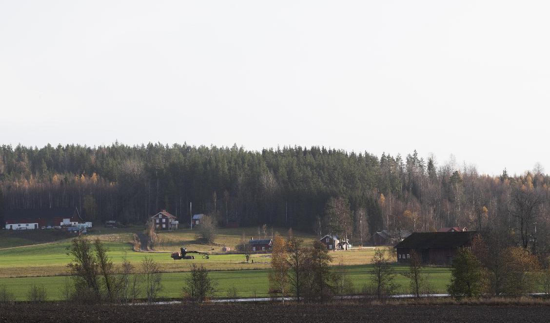 Partierna tävlar om att vinna landsbygdens röster. Arkivbild. Foto: Fredrik Sandberg/TT