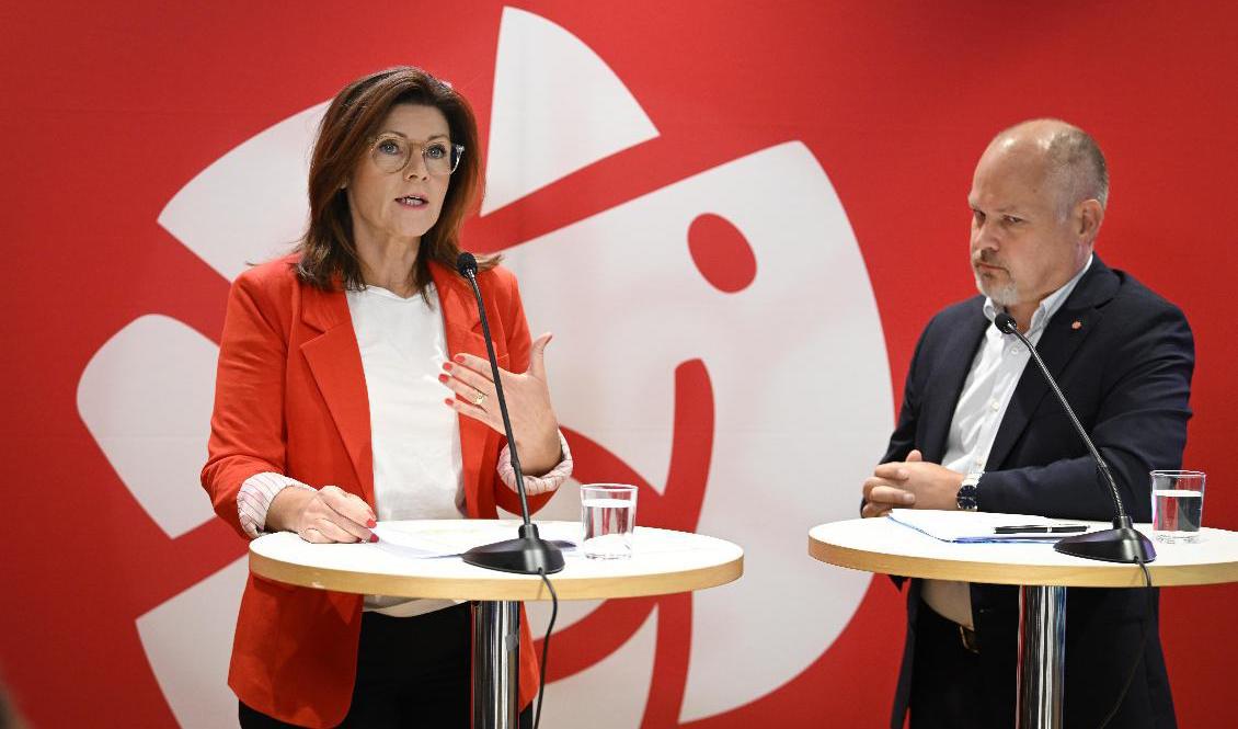 Arbetsmarknads- och jämställdhetsminister Eva Nordmark och justitie- och inrikesminister Morgan Johansson. Foto: Jessica Gow/TT