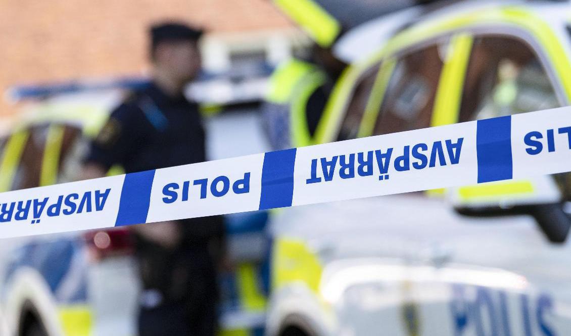 Händelsen inträffade i slutet av maj i år. Arkivbild. Foto: Johan Nilsson/TT