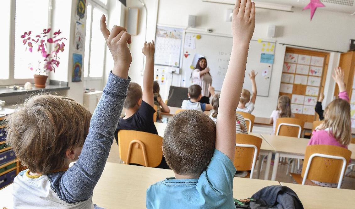 Oppositionen vill införa ett obligatoriskt lämplighetstest för den som vill läsa till lärare. Arkivbild Foto: Jonas Ekströmer/TT
