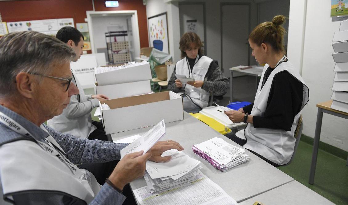 Rösträkningen på gång under valkvällen. Foto: Maja Suslin/TT