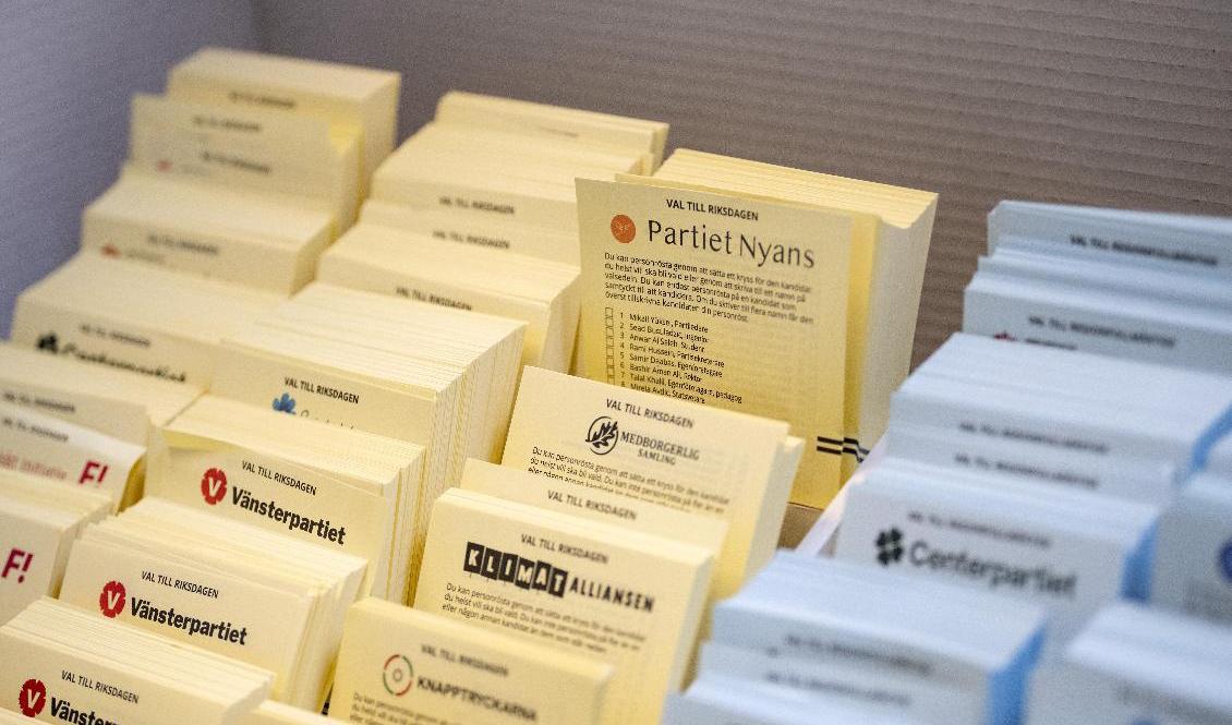 Partiet Nyans partisekreterare vill ha omval i Göteborgs kommunval. Arkivbild. Foto: Johan Nilsson/TT