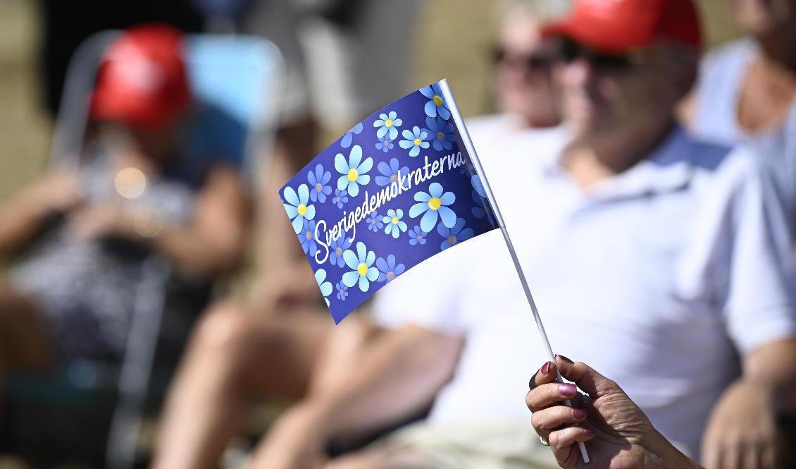 Sverigedemokraterna ökade kraftigt totalt i landets 290 kommuner och är nu störst i 18 kommuner. Arkivbild. Foto: Johan Nilsson/TT