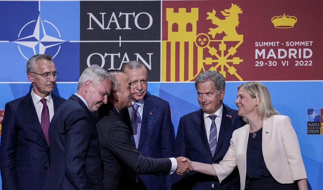 

Handskakningar efter det att Turkiet, Finland och Sverige kommit överens under Natotoppmötet i Madrid i juni. Arkivbild. Foto: Bernat Armangue/AP/TT                                                                                        
