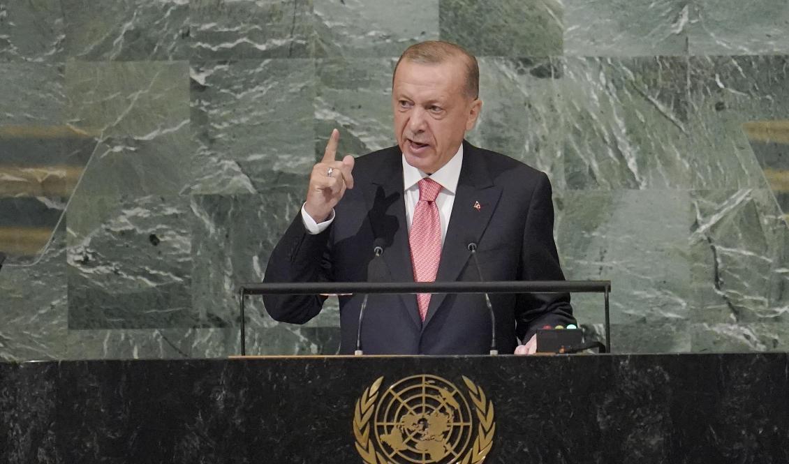 Turkiets president Recep Tayyip Erdogan. Arkivbild. Foto: Mary Altaffer/AP/TT