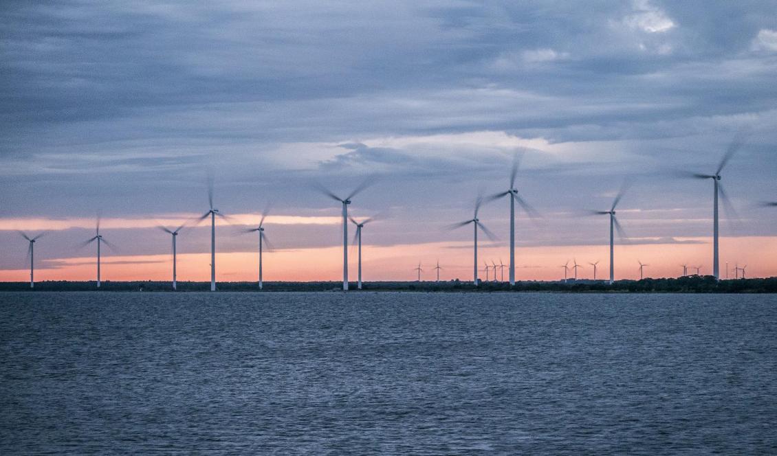 Försvaret är emot en satsning på vindkraftverk i havet i Blekinge. Foto: Bilbo Lantto