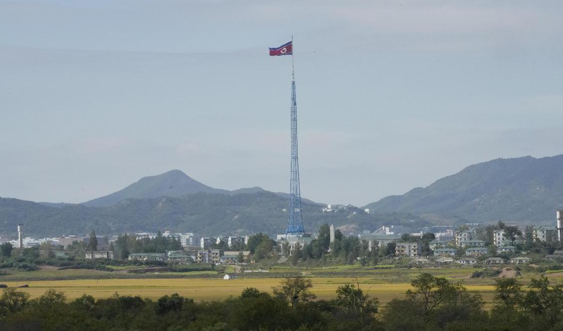 En nordkoreansk flagga vajar i gränsområdet mellan Nord- och Sydkorea. Arkivbild. Foto: Ahn Young-Joon/AP/TT