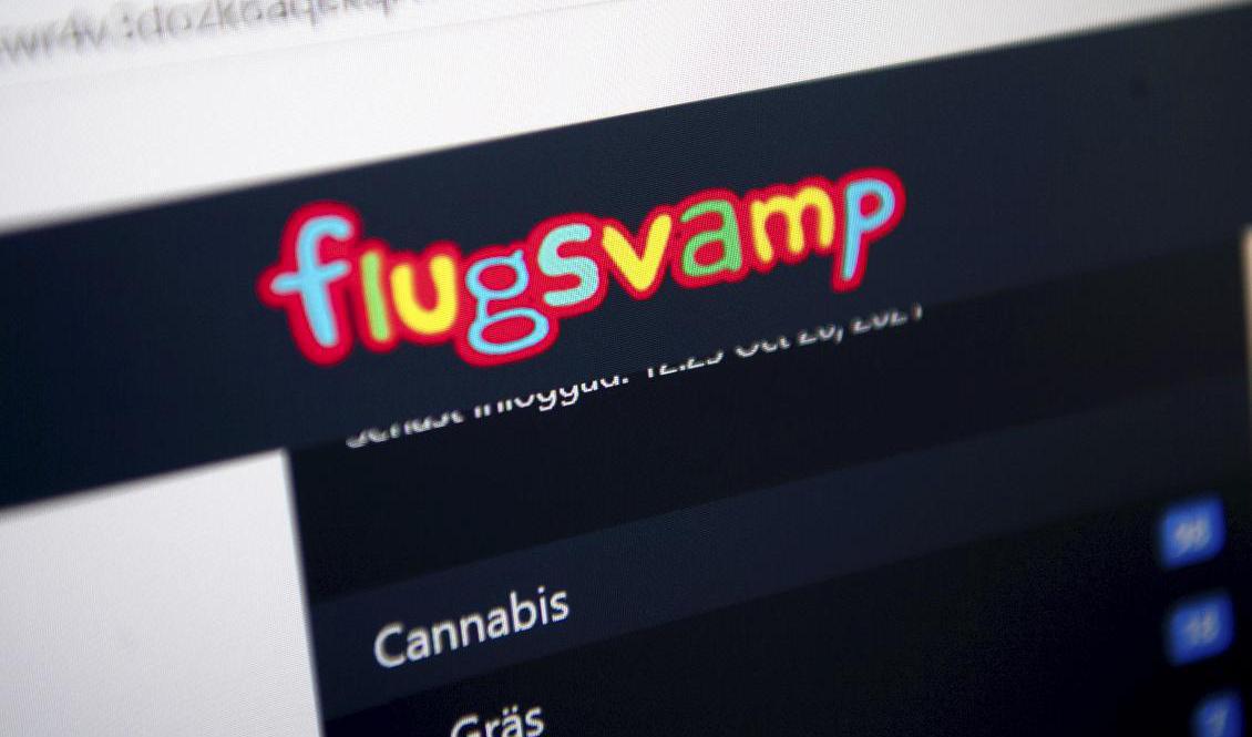 Flugsvamp har liknats vid ett Blocket för droger. Arkivbild. Foto: Fredrik Sandberg/TT