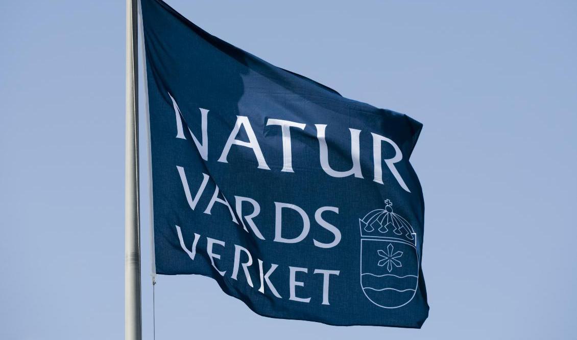 Myndighetens it-system stängdes ned när intrånget upptäcktes för att skydda informationen. Foto: Henrik Montgomery/ TT