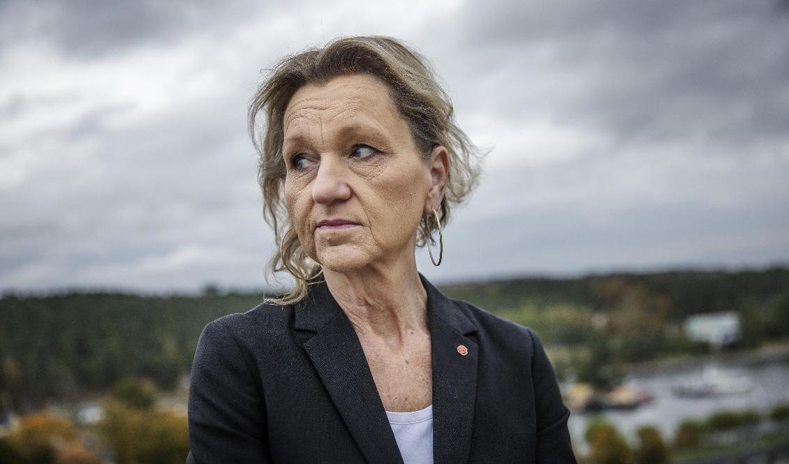 Boel Godner (S) fortsätter som kommunalråd i Södertälje. Arkivbild. Foto: Linus Sundahl-Djerf/SvD/TT