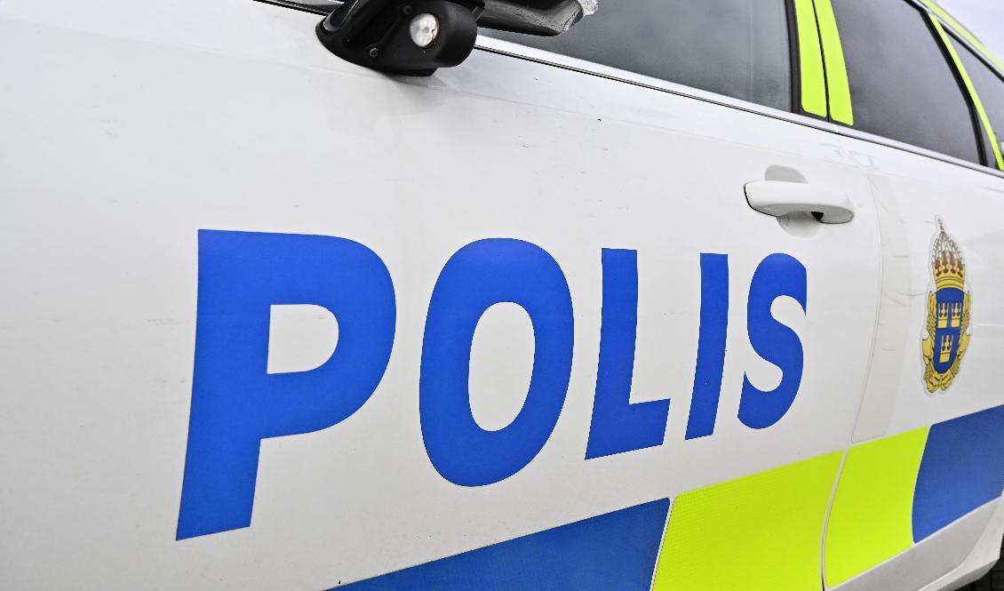 En död person hittades under tisdagen i Kramfors kommun av en av polisens hundpatruller. Arkivbild. Foto: Fredrik Sandberg/TT