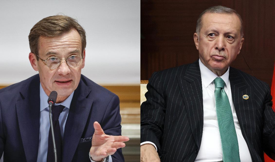 Nu är det klart att det kommer att bli ett möte mellan Kristersson och Erdogan i Turkiet. Foto: TT Nyhetsbyrån/AP