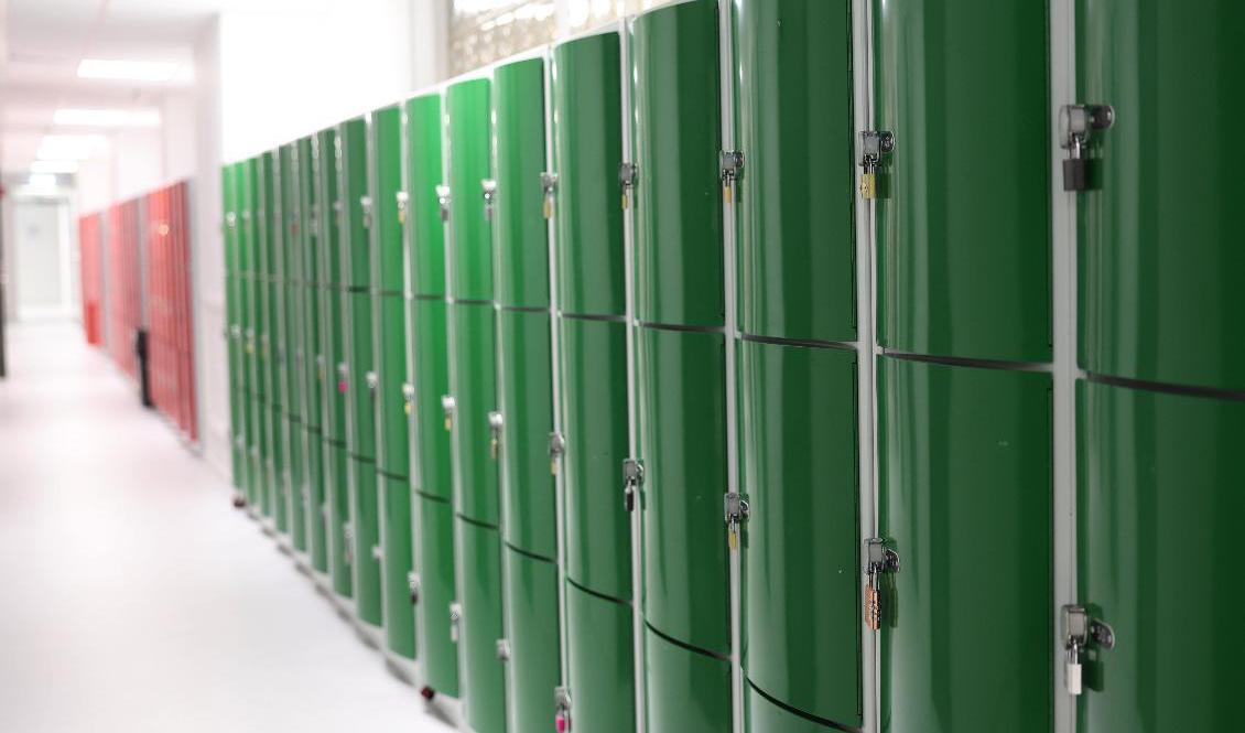 Fem pojkar på en skola i Västerbotten döms för ofredande. Arkivbild. Foto: Andreas Hillergren/TT