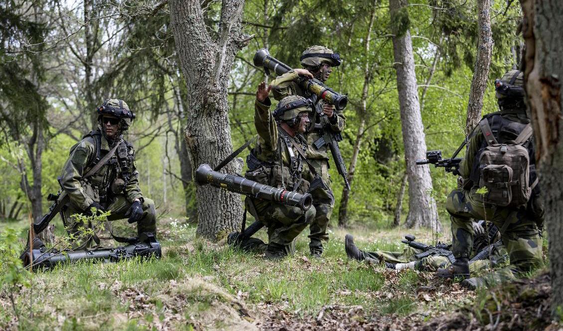 Nu ska soldaterna få bättre betalt. Arkivbild Foto: Johan Nilsson/TT