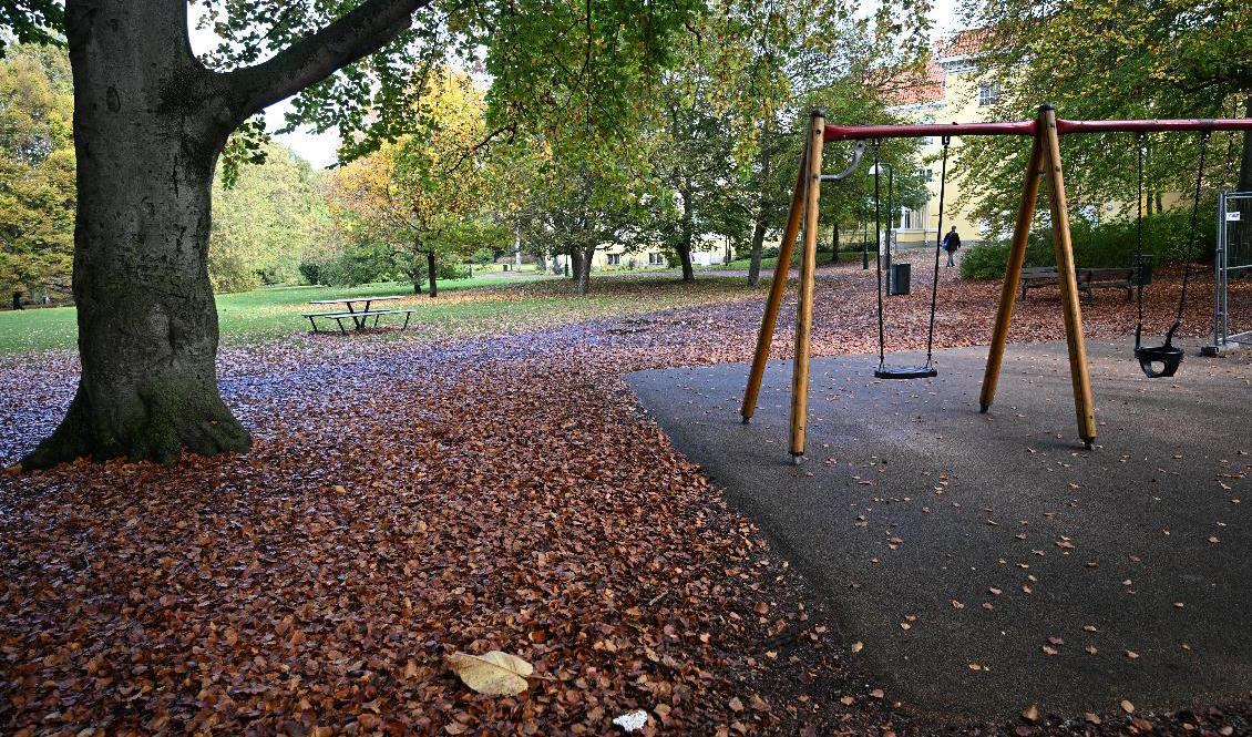 Lekplatsen i Kungsparken i Malmö där en våldtäkt i lördags avbröts av polis. Foto: Johan Nilsson/TT