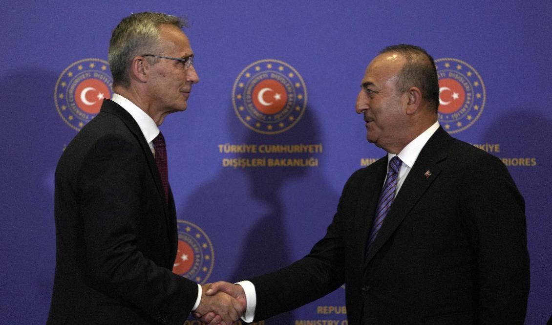 Natochefen Jens Stoltenberg träffade Turkiets utrikesminister Mevlüt Cavusoglu på torsdagen. Arkivbild. Foto: Khalil Hamra/AP/TT