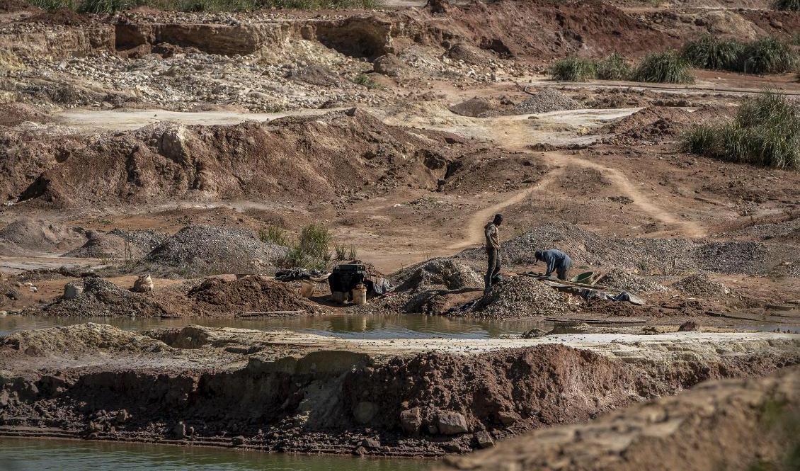 Illegala gruvarbetare letar guld vid en övergiven gruva väster om Johannesburg i Sydafrika i augusti. Arkivbild. Foto: Shiraaz Mohamed/AP/TT