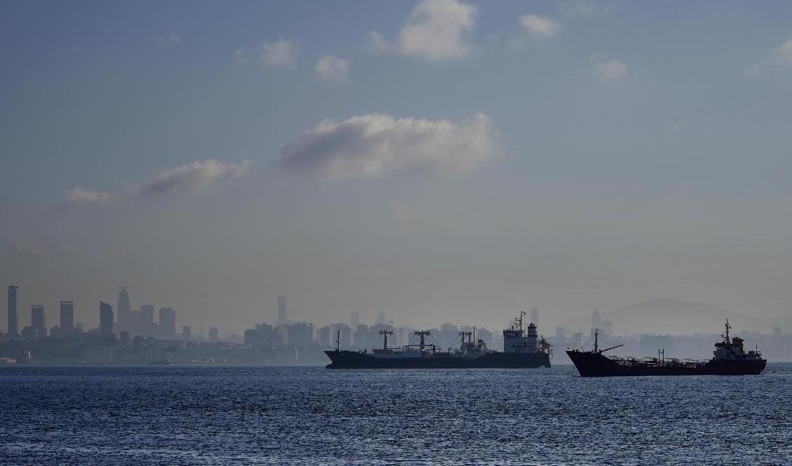 Lastfartyg i Bosporen. Arkivbild. Foto: Khalil Hamra/AP/TT