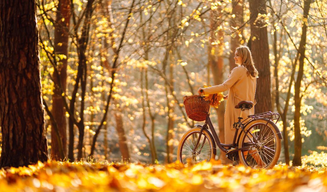 Hösten är enligt kinesisk tradition en tid då man varvar ner och samlar energi inför den kalla delen av året. Foto: Shutterstock