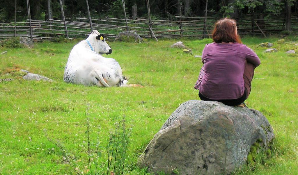 Traditionellt småskaligt jordbruk värnar om natur, kulturarv, biologisk mångfald, boskap och människor. Foto:Biokuma projektet Karlstads universitet