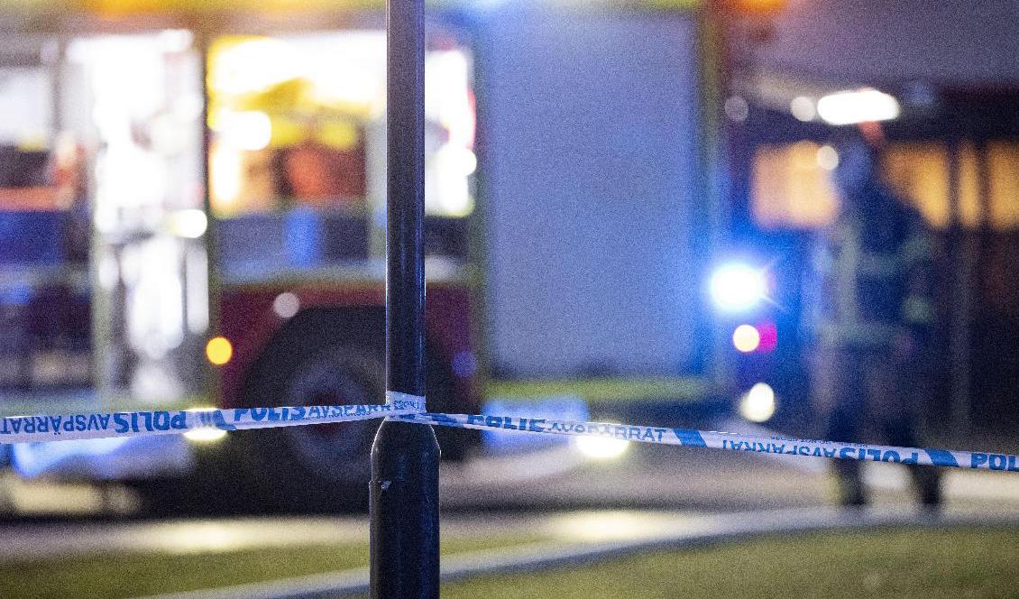 Minst 15 bilar har brunnit i Malmö under natten mot tisdag. Arkivbild. Foto: Johan Nilsson/TT