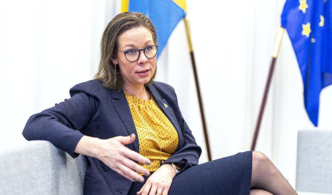 Migrationsminister Maria Malmer Stenergard (M). Foto: Stefan Jerrevång/TT