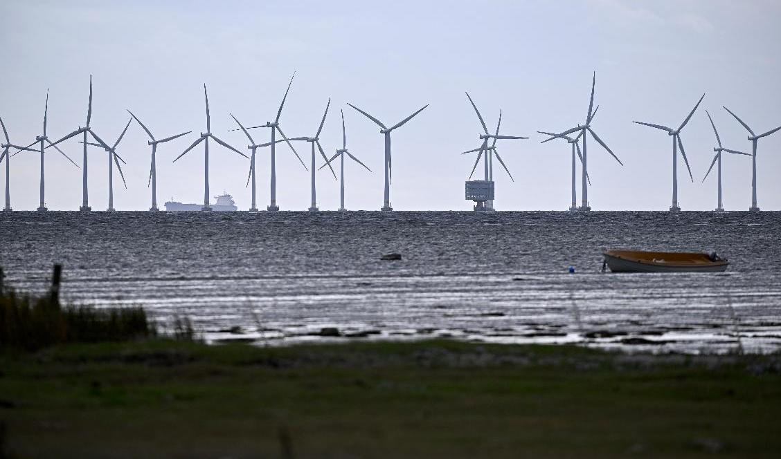 Riksrevisionen ska granska hur staten främjar avfallshanteringen av både solcellspaneler och turbinblad från vindkraftverk. Arkivbild. Foto: Johan Nilsson/TT