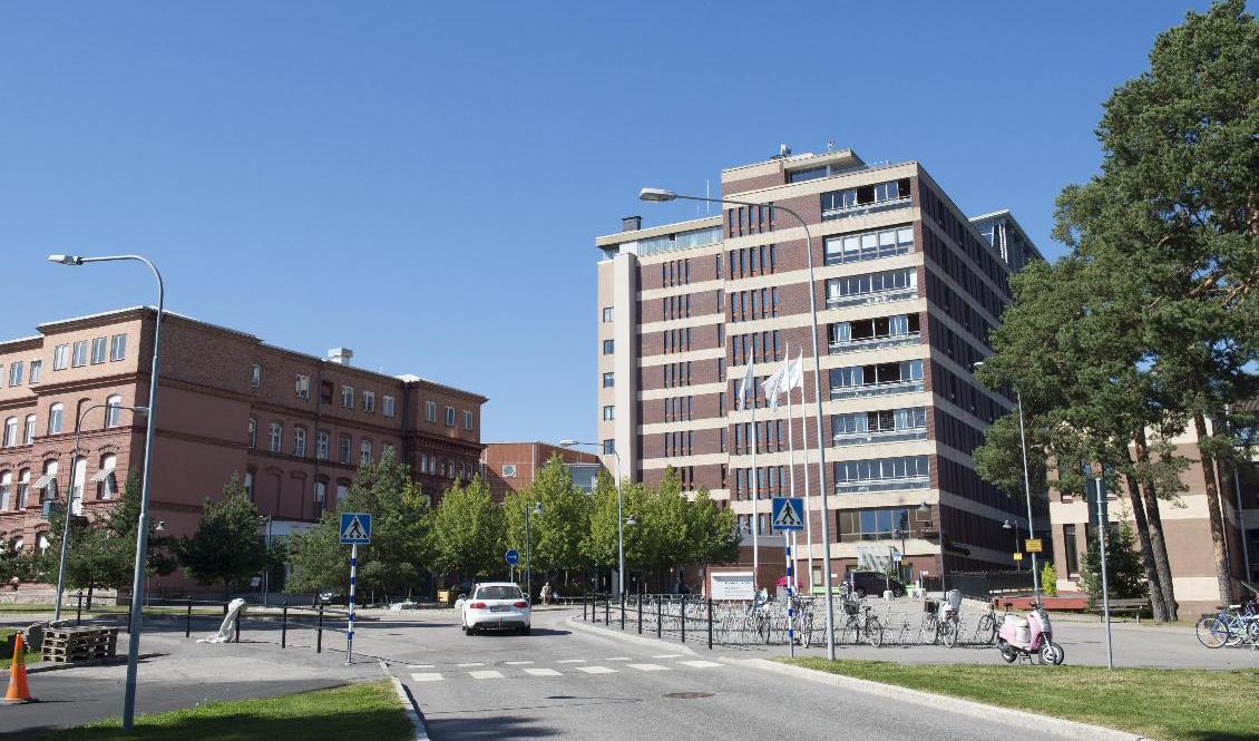 Sjukhuset i Gävle. Arkivbild. Foto: Fredrik Sandberg/TT