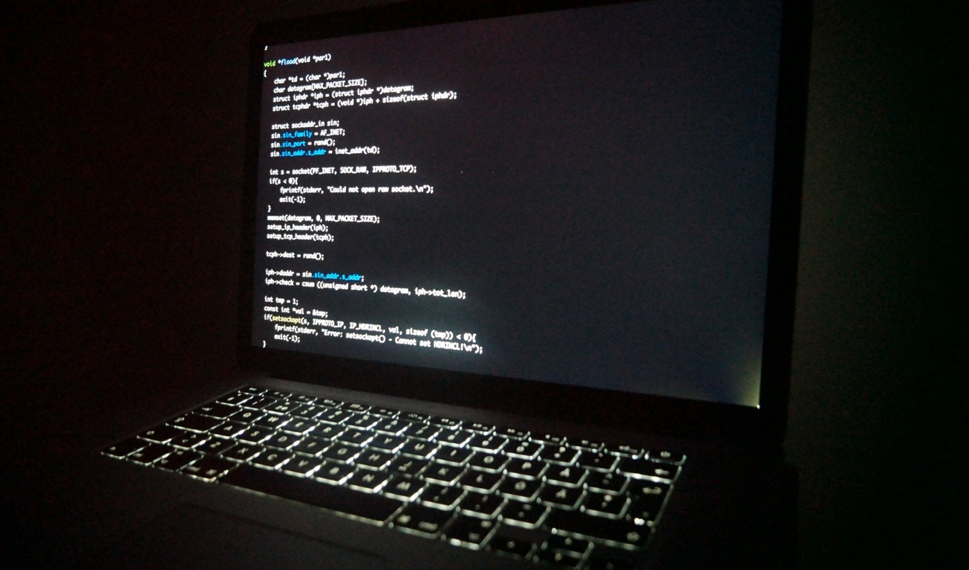 Det är oklart exakt vilka uppgifter som hann kopieras av hackarna. Arkivbild. Foto: Gustav Sjöholm/TT