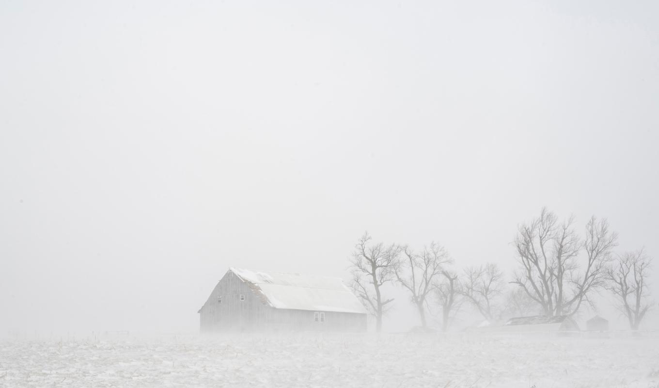 

Snöigt i den amerikanska delstaten Iowa. Foto: Nick Rohlman/The Gazette/AP/TT                                                                                        