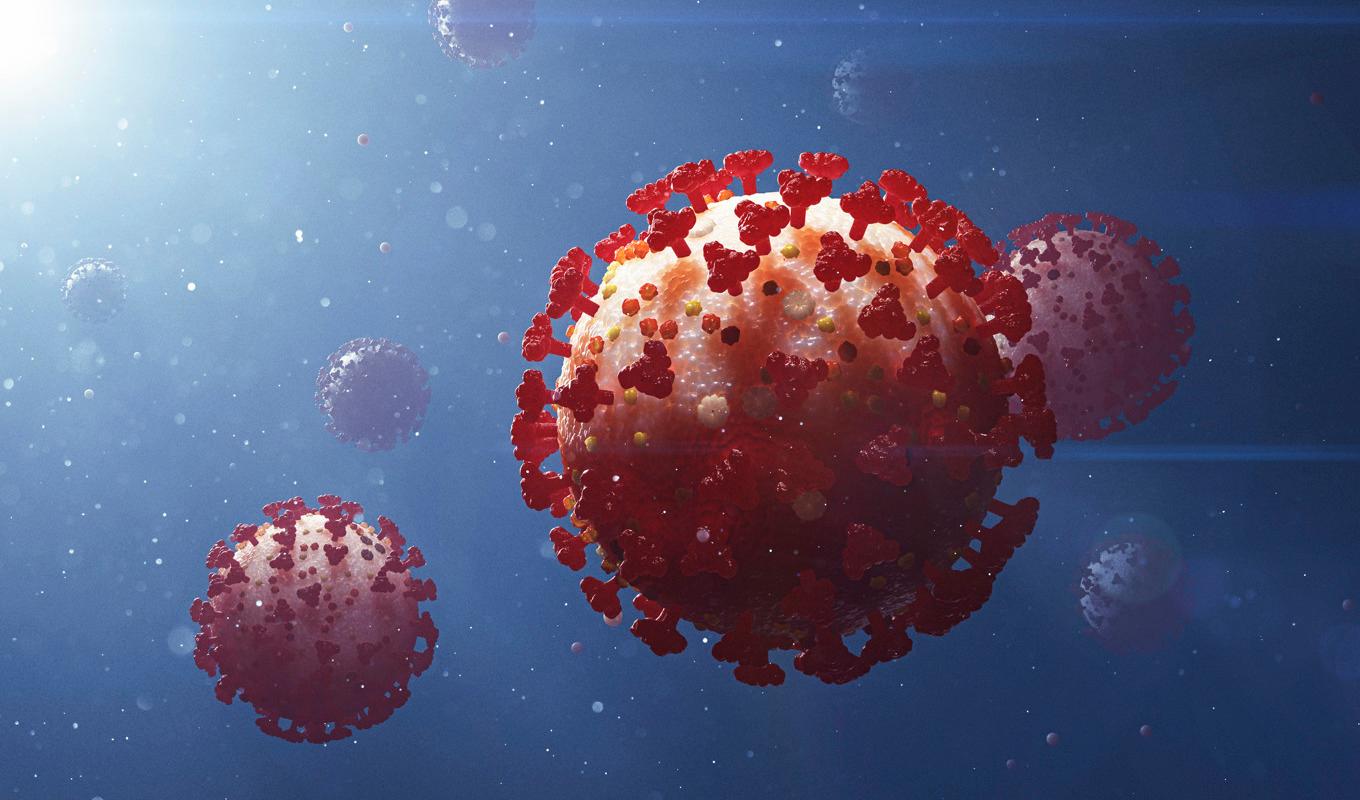 Illustration av coronaviruset. Arkivbild. Foto: Stefan Hörberg/Rithuset AB