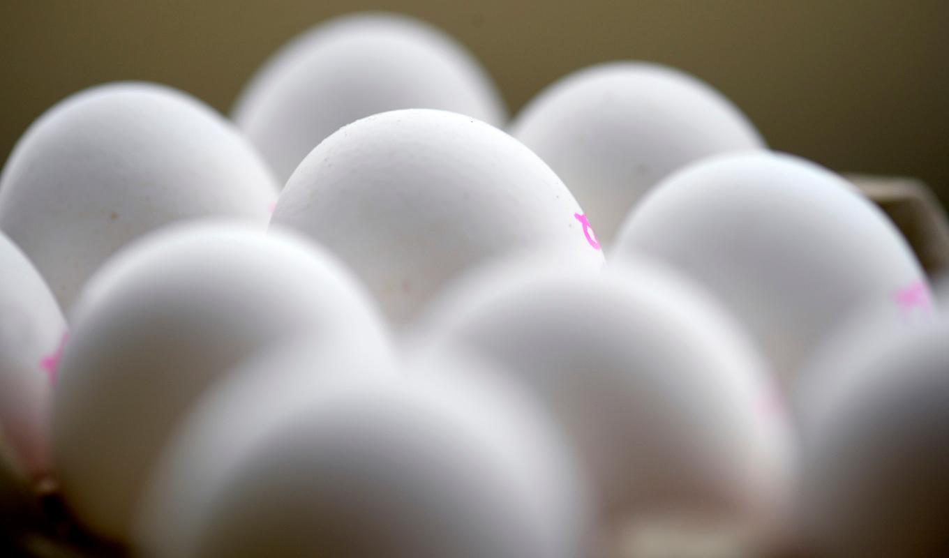 Ägg återkallas efter larm om salmonella. Arkivbild. Foto: Janerik Henriksson/TT