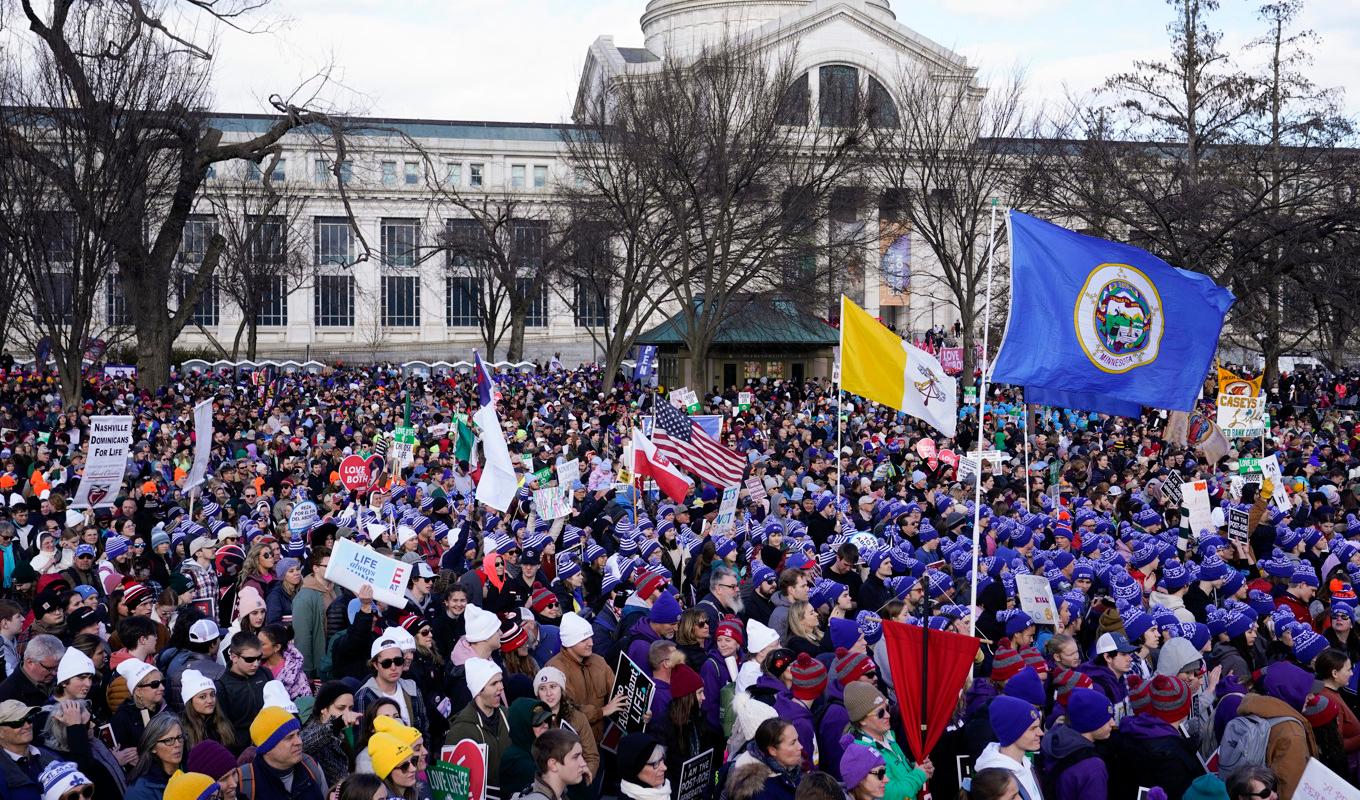 Abortmotståndare demonstrerar i USA:s huvudstad Washington|DC. Foto: Patrick Semansky/AP/TT