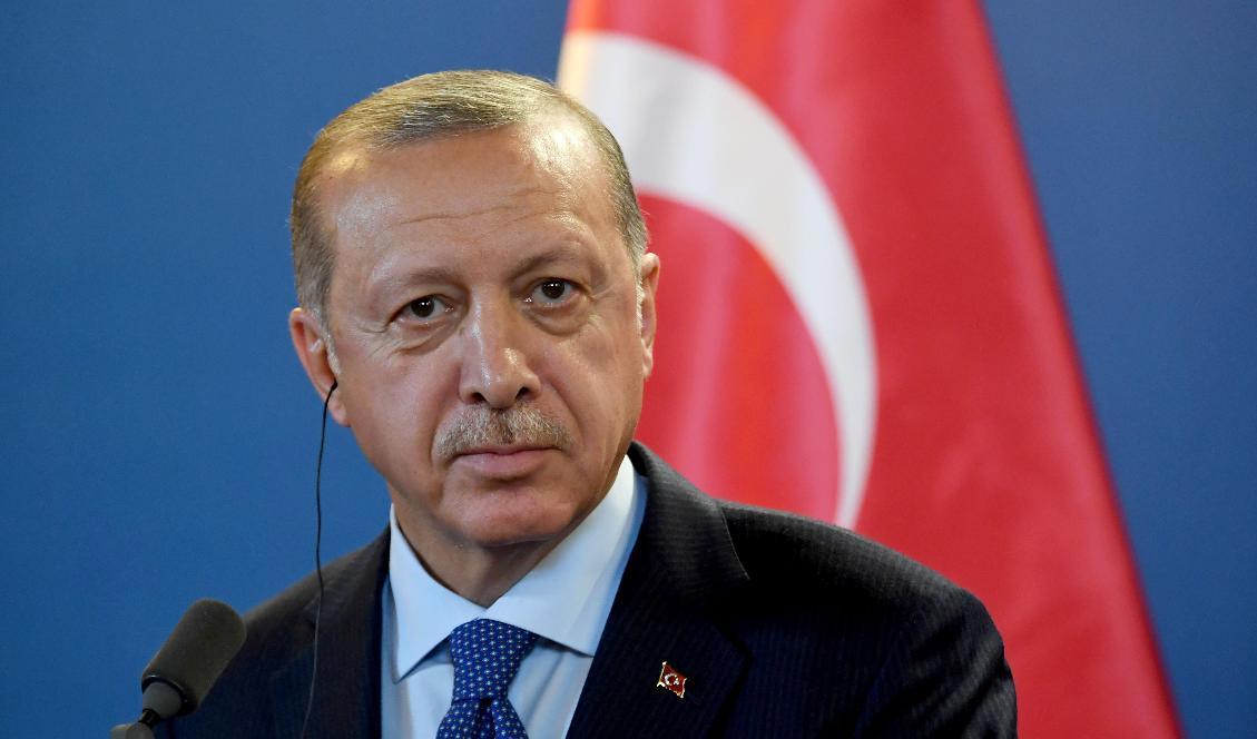 Turkiets president Recep Tayyip Erdogan. Foto: Attila Kisbenedek/AFP via Getty Images