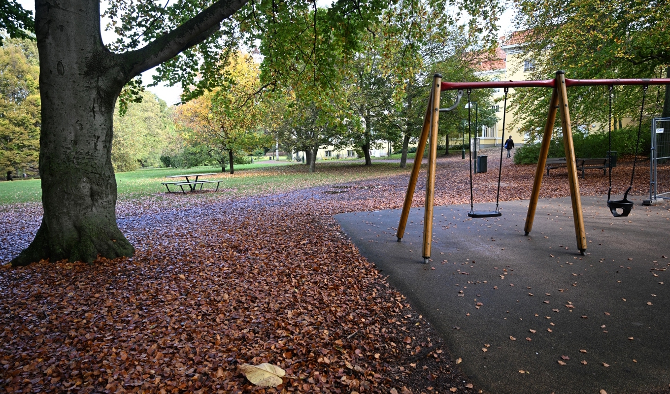 Fem tonåringar i åldern 15 till 18 år döms för grov våldtäkt mot en kvinna i Kungsparken i Malmö i oktober. Arkivbild. Foto: Johan Nilsson/TT