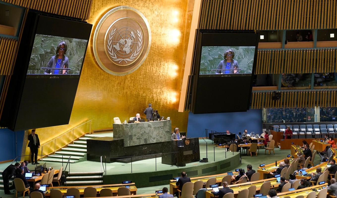 USA:s FN-ambassadör Linda Thomas-Greenfield talar till generalförsamlingen inför torsdagens omröstning. Foto: Mary Altaffer/AP/TT